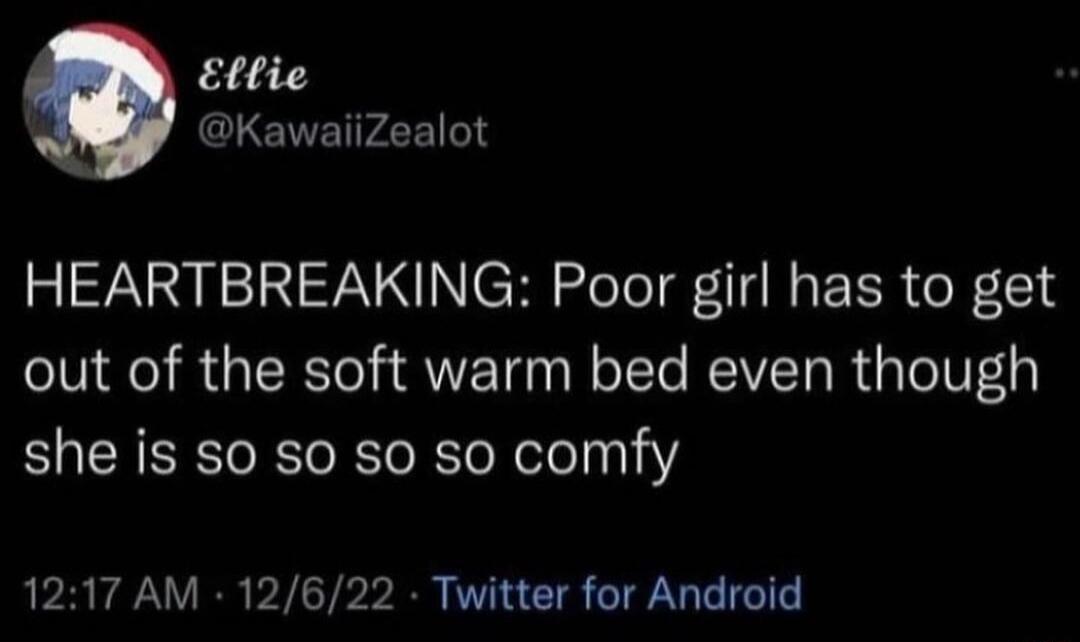 Ettie CLEIVETPLE HEARTBREAKING Poor girl has to get out of the soft warm bed even though she is s0 s0 s0 so comfy 1217 AM 12622 Twitter for Android