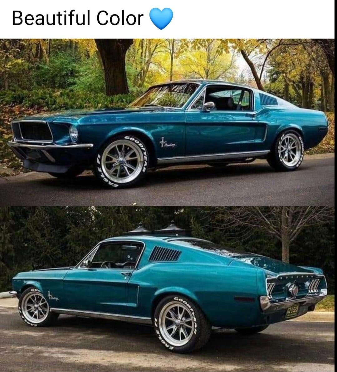 Beautiful Color