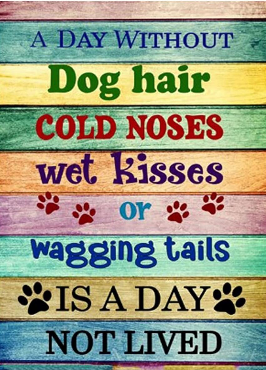 A DAY WITHOUT Dog hair COLD NOSES wet kisses or wagging tails IS A DAY NOT LIVED