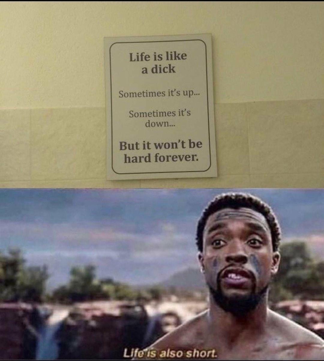 Life is like adick Sometimes ts up Sometimes its down But it wont be hard forever Lifes also short