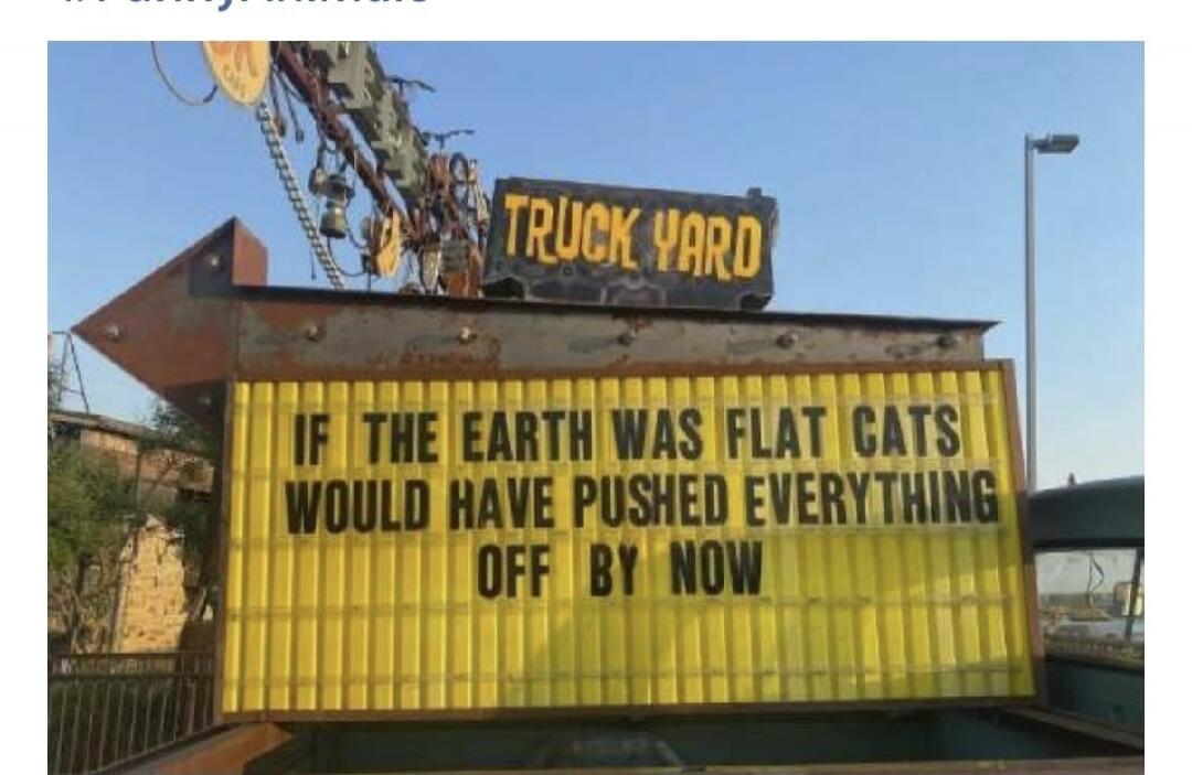 TRUCK YARD
IF THE EARTH WAS FLAT CATS WOULD HAVE PUSHED EVERYTHING OFF BY NOW
#FunnyAnimals