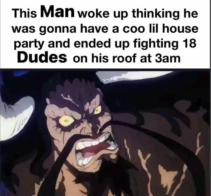 This Man woke up thinking he was gonna have a coo lil house party and ended up fighting 18 Dudes on his roof at 3am