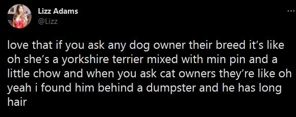 love that if you ask any dog owner their breed its like oh shes a yorkshire terrier mixed with min pin and a little chow and when you ask cat owners theyre like oh yeah i found him behind a dumpster and he has long hair