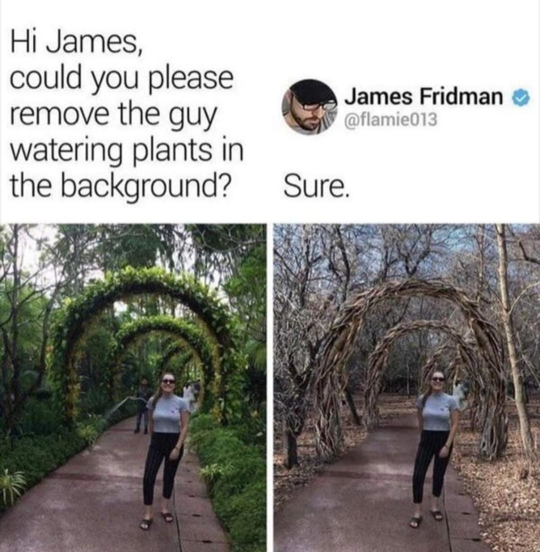 by Hi James could you please remove the guy watering plants in the background e lames Fridman Sure