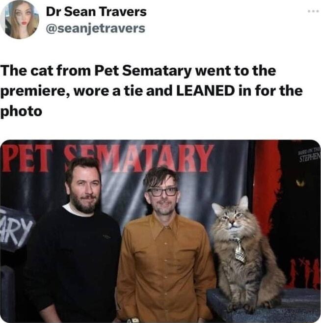 Dr Sean Travers eanjetravers he cat from Pet Sematary went to the premiere wore a tie and LEANED in for the photo