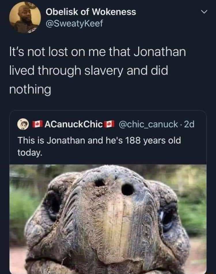 f W Obelisk of Wokeness N W SweatyKeef Its not lost on me that Jonathan VTe Rial e NI RSIF VIYaVAEToTo e fo aleliatlgle AcCanuckChic chic_canuck 2d LGSR ETGEREN RN FE RVEET o ACLEIA