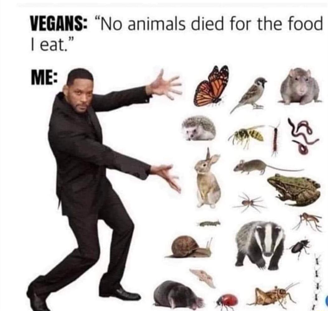 VEGANS No animals died for the food eat