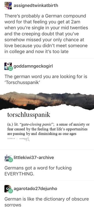 B assignedtwinkatbirth Theres probably a German compound word for that feeling you get at 2am when youre single in your mid twenties and the creeping doubt that youve somehow missed your only chance at love because you didnt meet someone in college and now its too late tgoddamngeckogirl The german word you are looking for is Torschusspanik torschlusspanik 0 lit gate closing panic a sense of ani fe