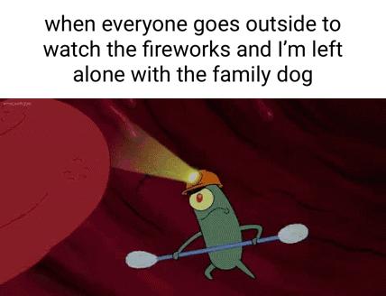 when everyone goes outside to watch the fireworks and Im left alone with the family dog