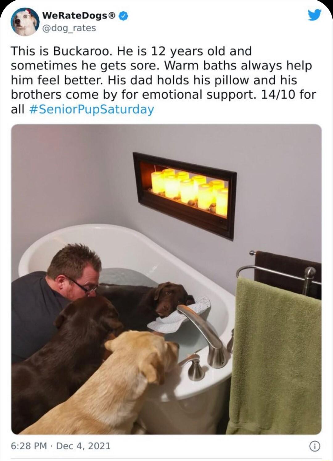 WeRateDogs dog_rates This is Buckaroo He is 12 years old and sometimes he gets sore Warm baths always help him feel better His dad holds his pillow and his brothers come by for emotional support 1410 for all SeniorPupSaturday I Dec 4 2021