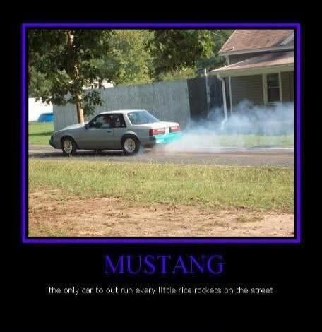 MUSTANG the only car to out run every little rice rockets on the street
