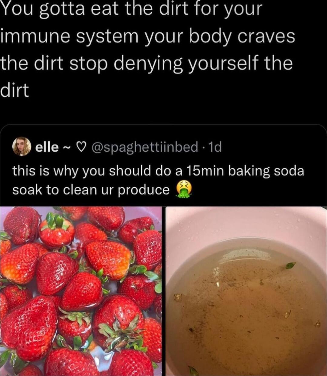 N elVEelac N r 1M igcHellgm el V elVg immune system your body craves the dirt stop denying yourself the dirt elle spaghettiinbed 1d this is why you should do a 15min baking soda soak to clean ur produce