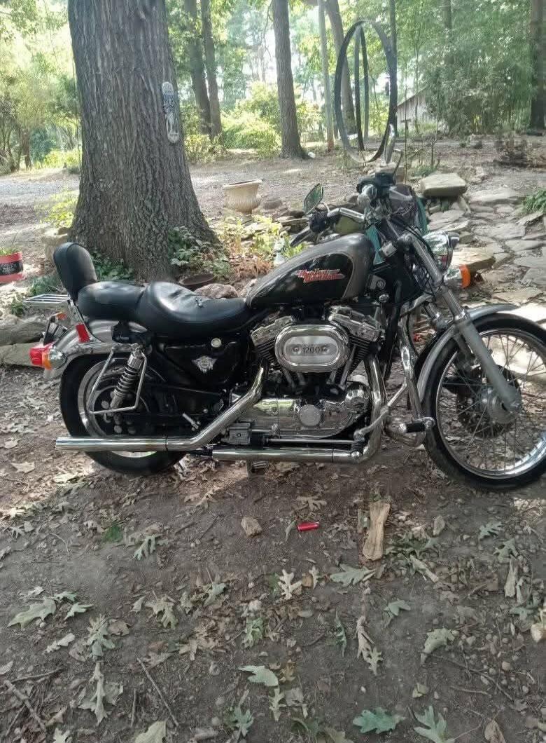 Harley-Davidson 1200