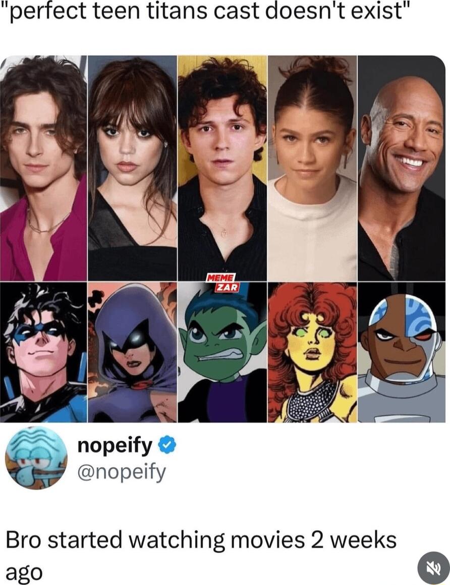 perfect teen titans cast doesnt exist nopeify nopeify Bro started watching movies 2 weeks ago