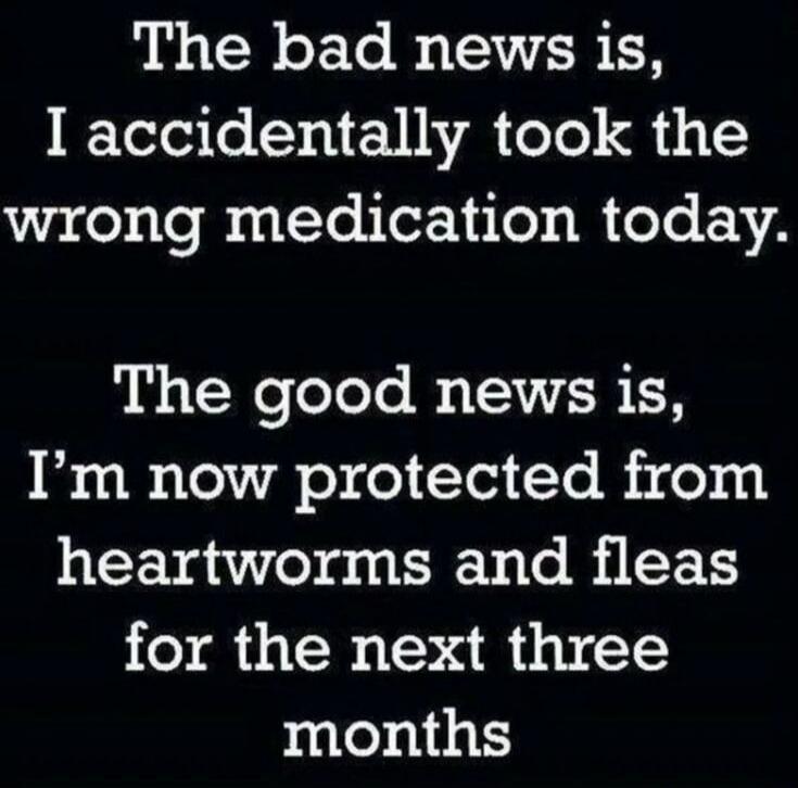 The bad news is, I accidentally took the wrong medication today. The good news is, I'm now protected from heartworms and fleas for the next three months.