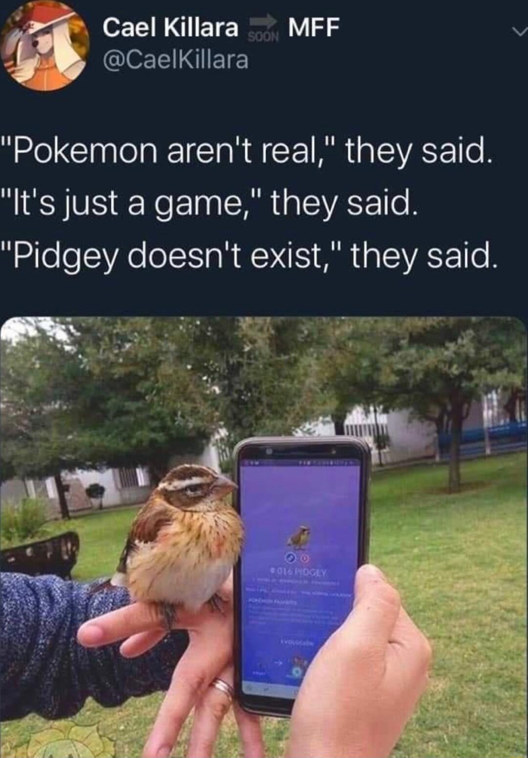 Cael Killara MFF v GlelNIIEIE Pokemon arent real they said Its just a game they said Pidgey doesnt exist they said