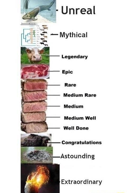 Epic Rare Medium Rare Medium Medium Well Well Done 3 Congratulations Astounding Extraordinary