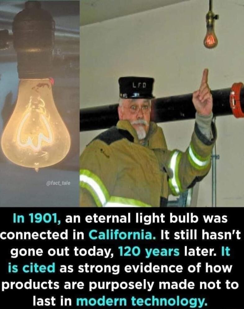 In 1901 an eternal light bulb was onnected in California It still hasnt T RIS T EYAR PLORVEETER E1 T 1 is cited as strong evidence of how e10eTe 110 TR W TT o TV ETe 0 Lo S last in modern technology