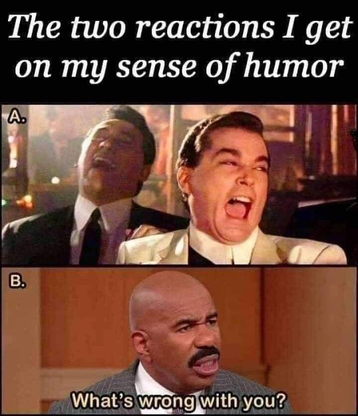The two reactions I get on my sense of humor
A. [image of people laughing]
B. What's wrong with you?
