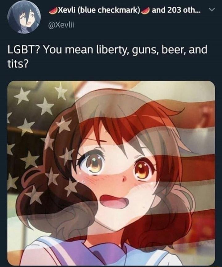 Xeuli blue checkmark and 203 oth Xevlii LGBT You mean liberty guns beer and tits