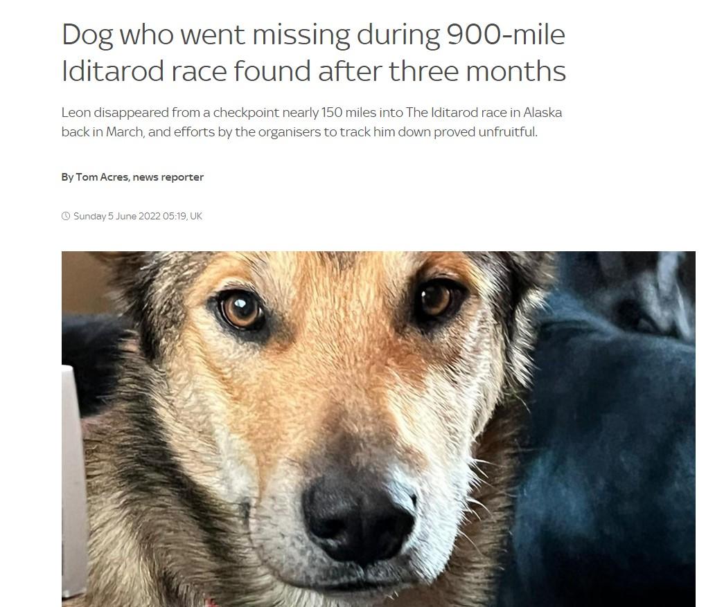 Dog who went missing during 900 mile ditarod race found after three months Leon disappeared from a checkpoint nearly 150 miles into The Iditarod race in Alaska back in March and efforts by the organisers to track him down proved unfruitful By Tom Acres news reporter