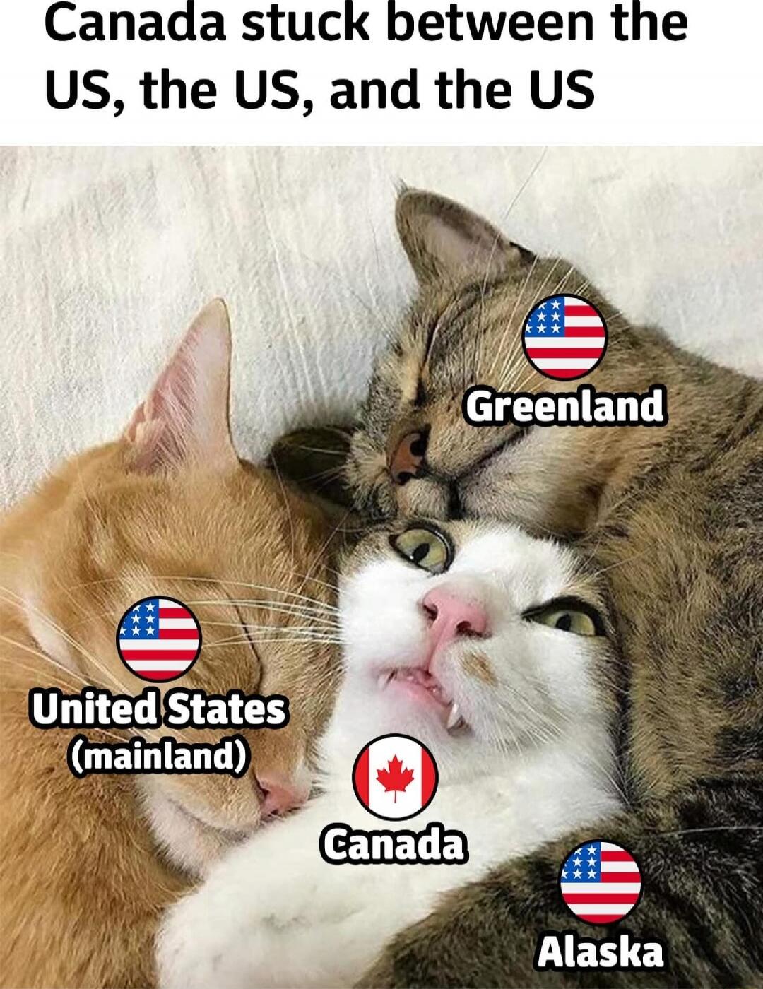 Canada stuck between the US, the US, and the US
United States (mainland)
Canada
Greenland
Alaska