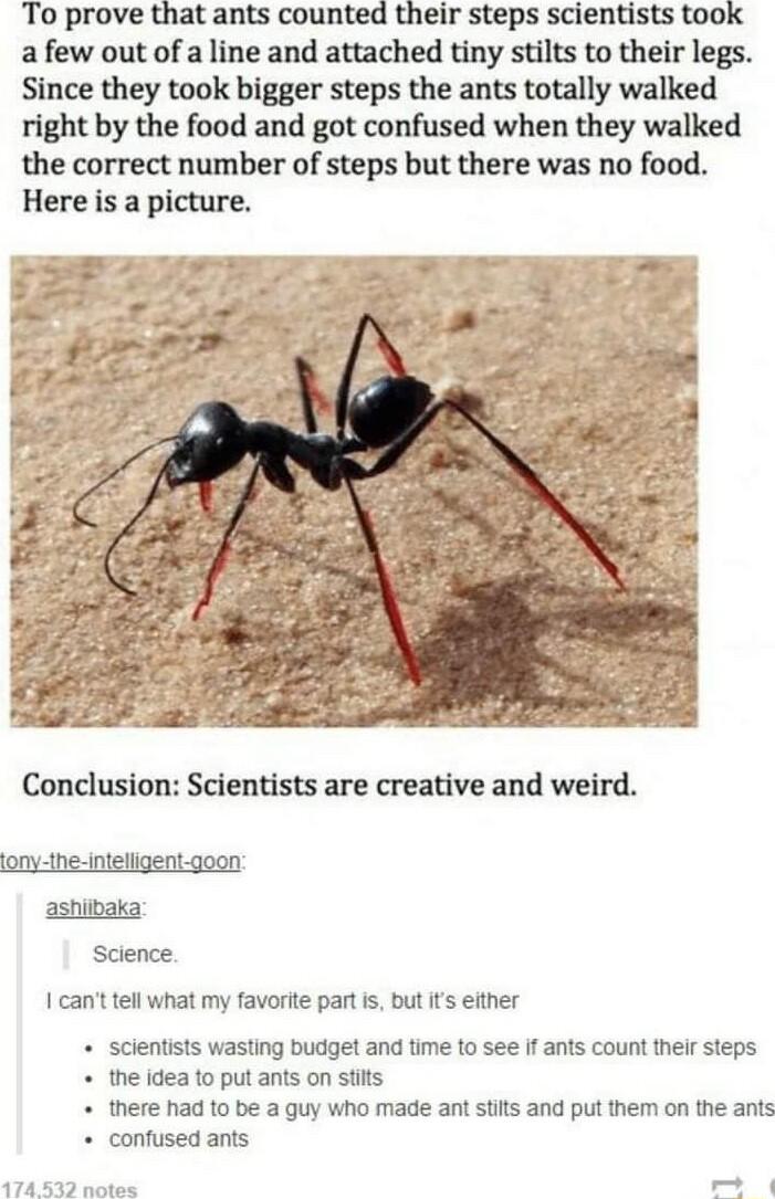 To prove that ants counted their steps scientists took afew out of a line and attached tiny stilts to their legs Since they took bigger steps the ants totally walked right by the food and got confused when they walked the correct number of steps but there was no food Here is a picture Conclusion Scientists are creative and weird ony the inteligentgoon ashibaka Science I cant tell what my favorite 