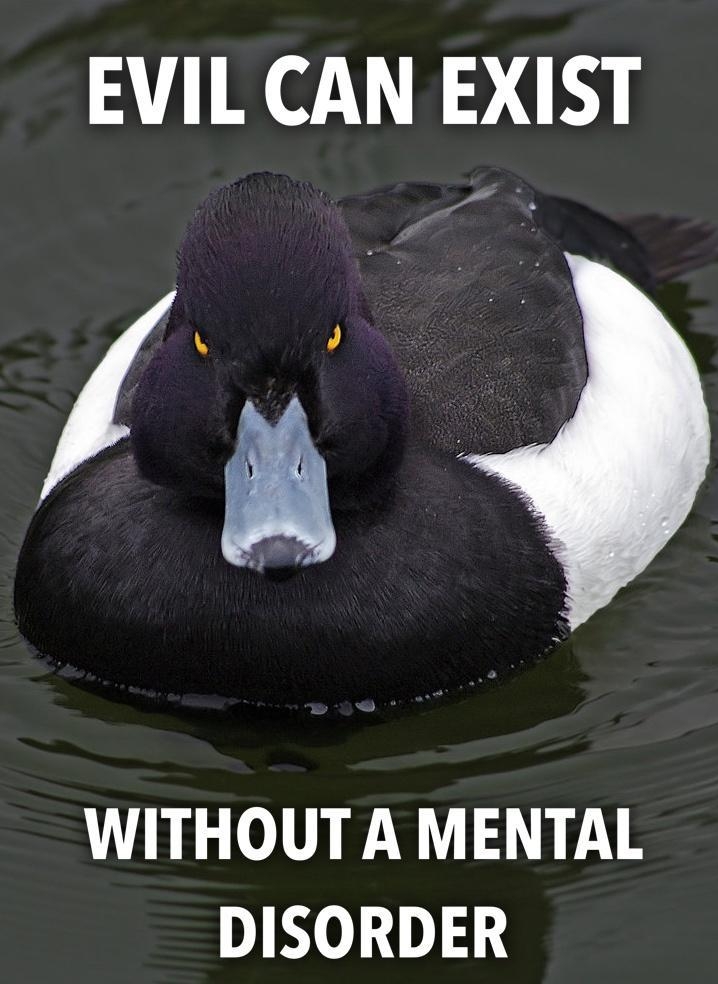 EVIL CAN EXIST WITHOUT A MENTAL DISORDER