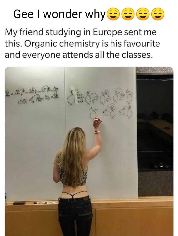 Gee wonder whyo My friend studying in Europe sent me this Organic chemistry is his favourite and everyone attends all the classes