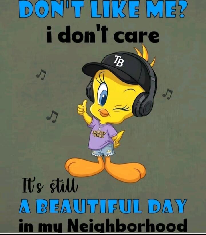 DON'T LIKE ME? i don't care It's still A BEAUTIFUL DAY in my Neighborhood