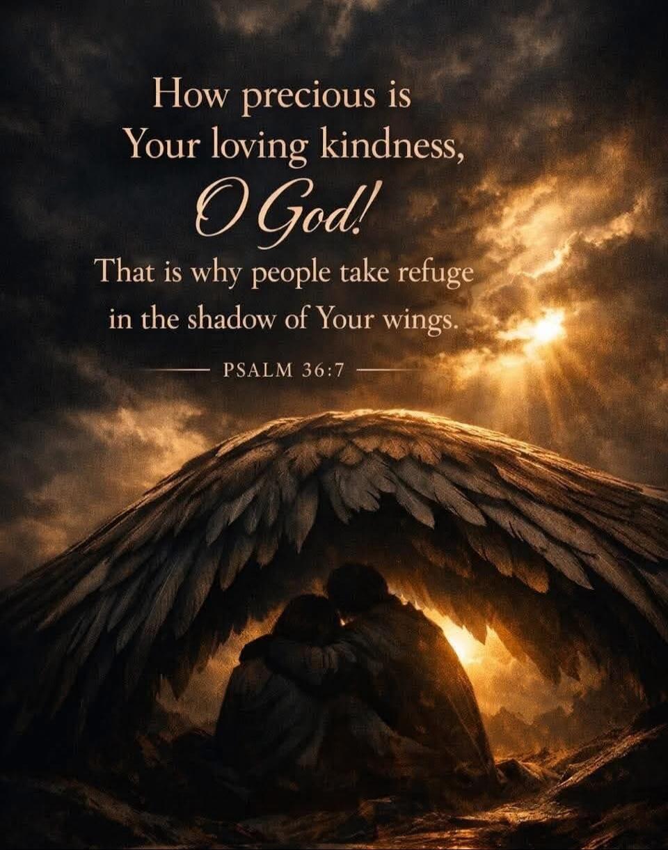 How precious is Your loving kindness, O God! That is why people take refuge in the shadow of Your wings. PSALM 36:7