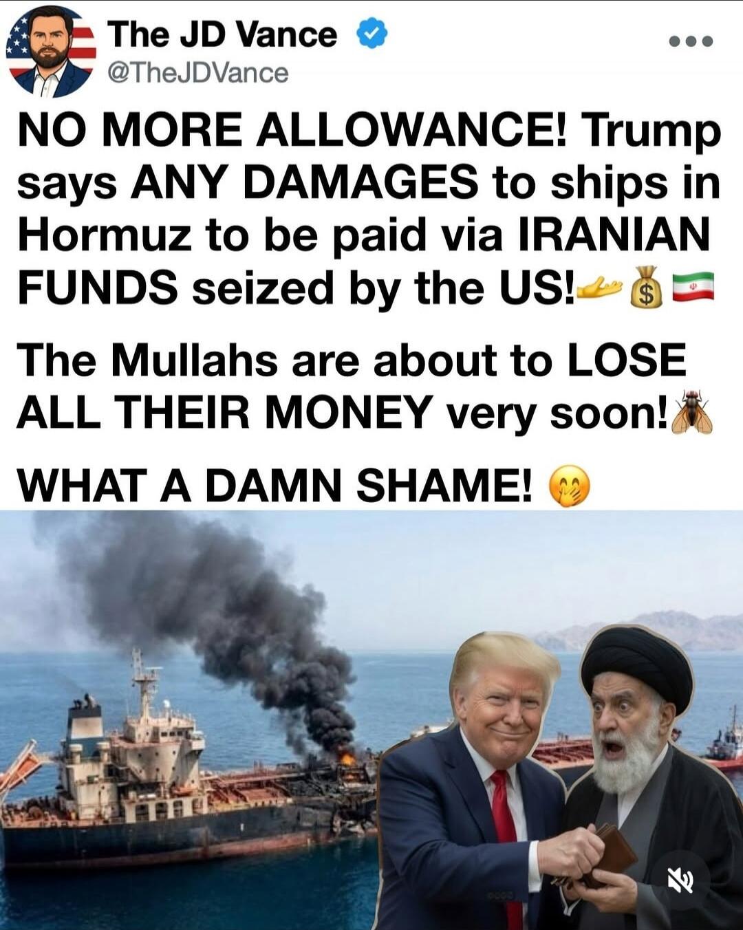 The JD Vance @TheJDVance NO MORE ALLOWANCE! Trump says ANY DAMAGES to ships in Hormuz to be paid via IRANIAN FUNDS seized by the US! 💰🇮🇷 The Mullahs are about to LOSE ALL THEIR MONEY very soon! 🪰 WHAT A DAMN SHAME! 😬