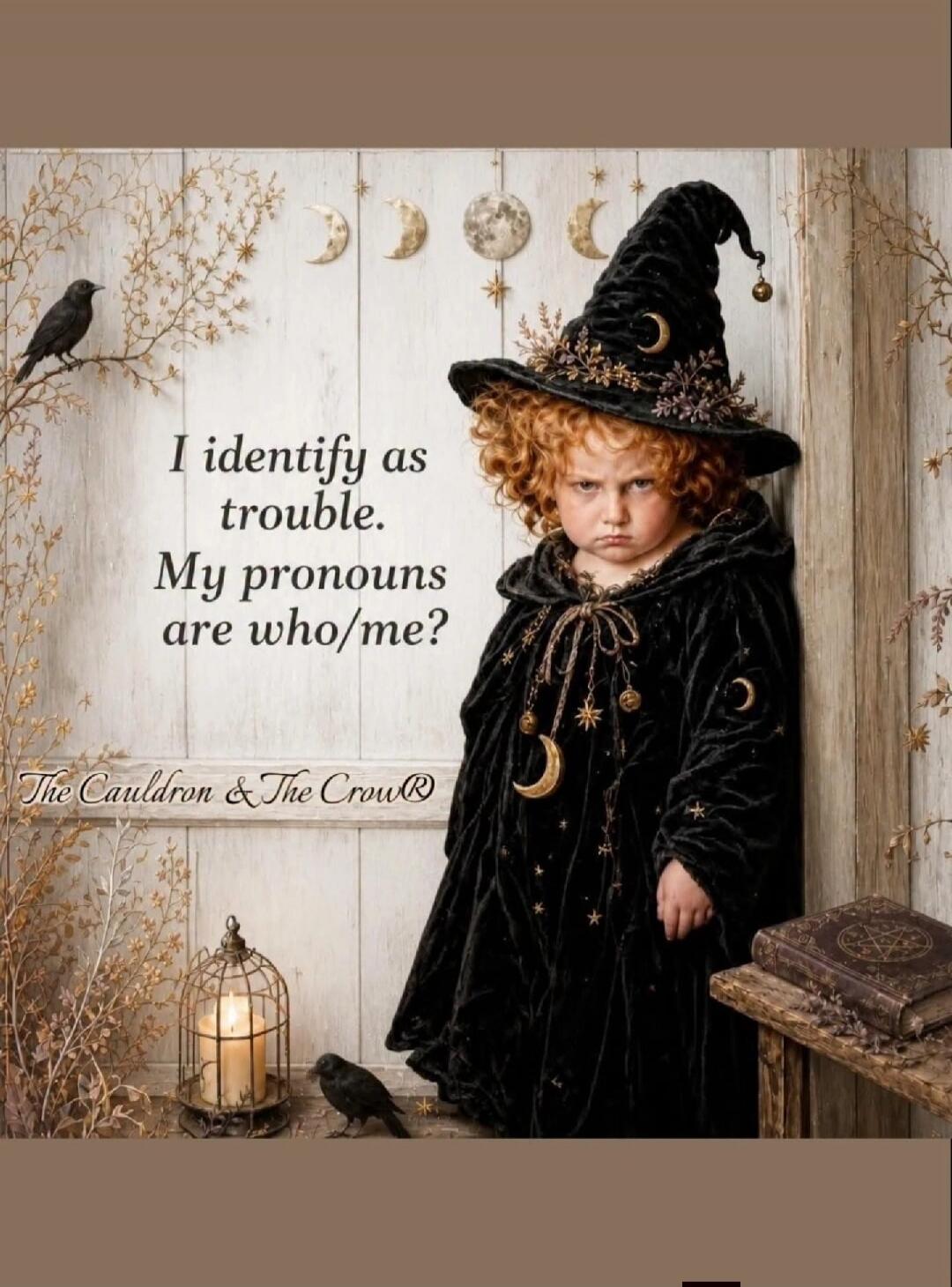 I identify as trouble. My pronouns are who/me? The Cauldron & The Crow®