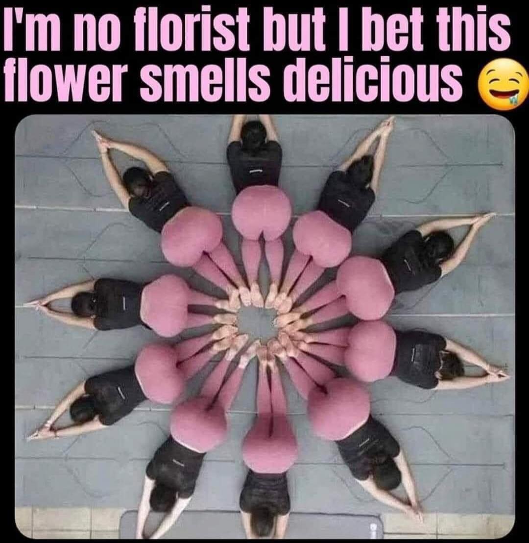 I'm no florist but I bet this flower smells delicious