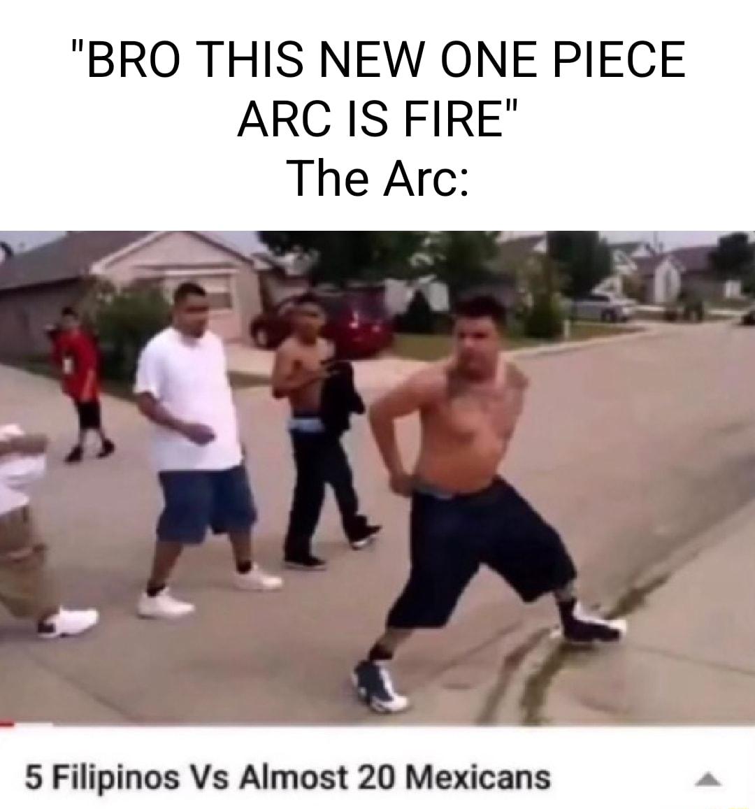 BRO THIS NEW ONE PIECE ARC IS FIRE The Arc