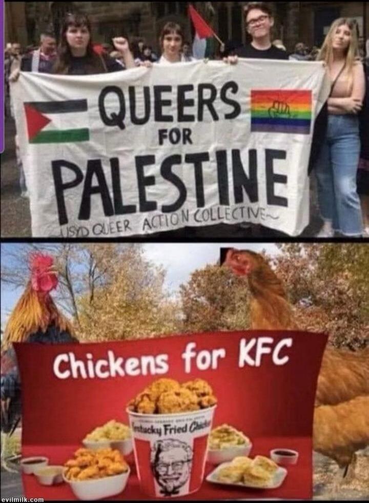 QUEERS FOR PALESTINE USYD QUEER ACTION COLLECTIVE Chickens for KFC