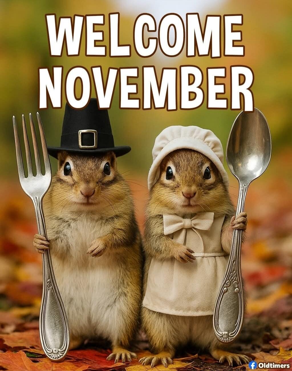 WELCOME NOVEMBER