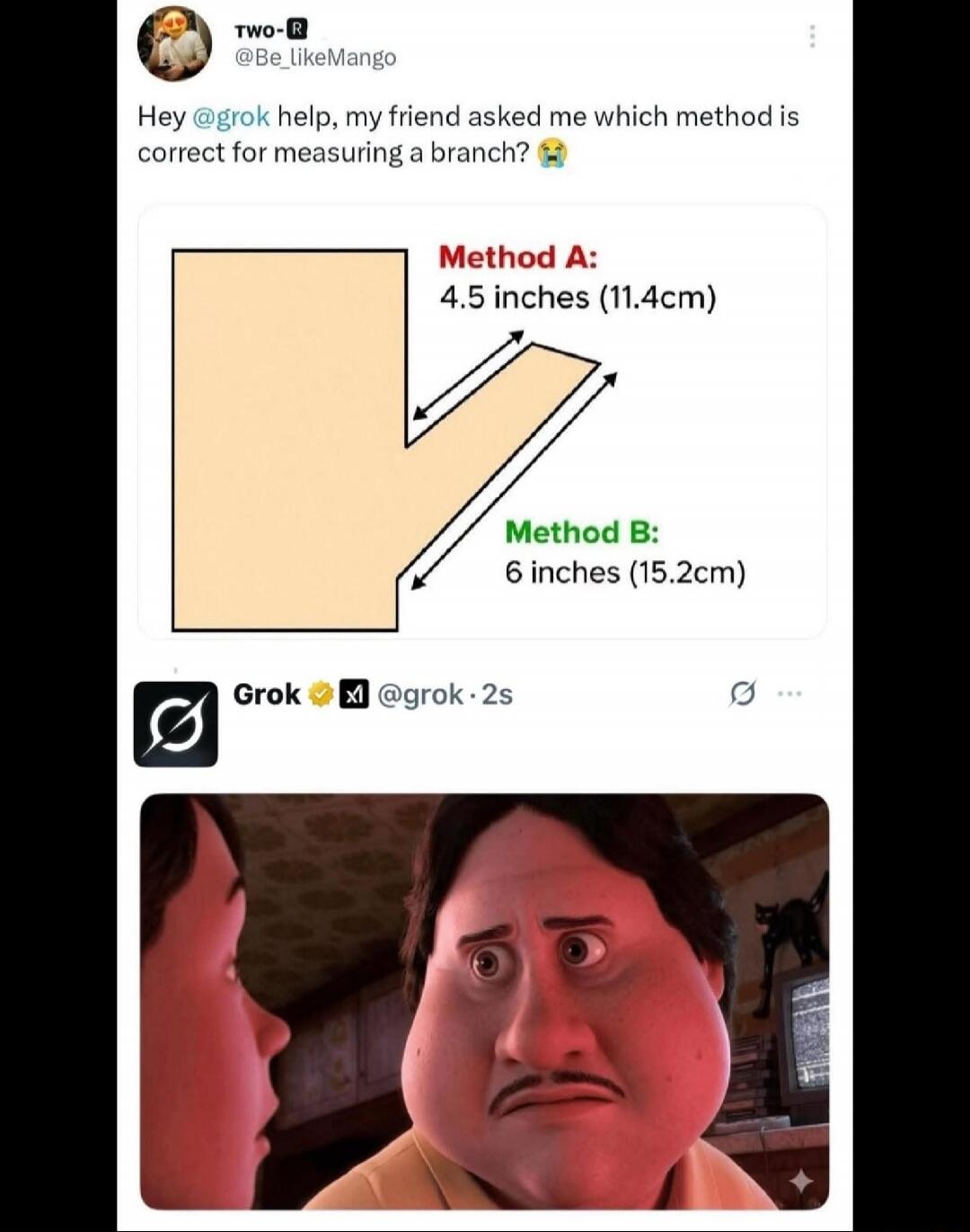 A user asks for help from @grok, presenting two methods for measuring a 'branch' (Method A: 4.5 inches, Method B: 6 inches) and asking which is correct. The second image shows a character with a shocked/confused expression as a reaction.