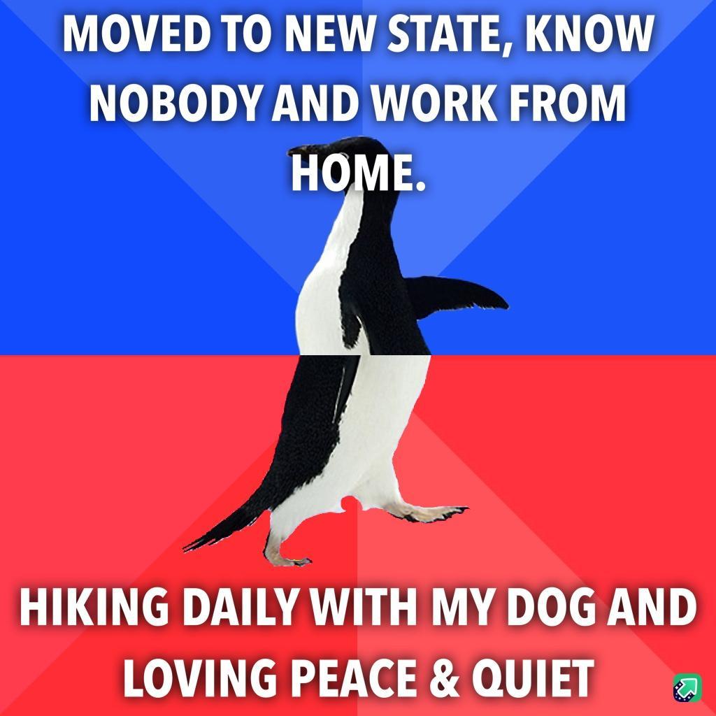 MOVED TO NEW STATE KNOW NOBODY AND WORK FROM HOME HIKING DAILY WITH MY DOG AND LOVING PEACE QUIET