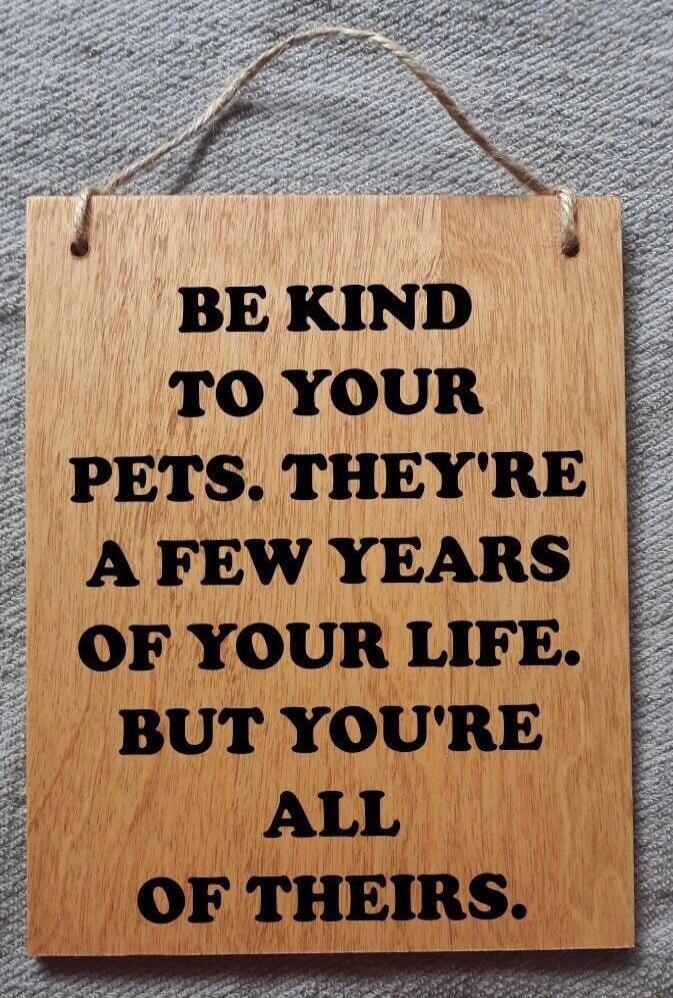 BE KIND TO YOUR PETS THEYRE AFEW YEARS OF YOUR LIFE BUT YOURE ALL OF THEIRS