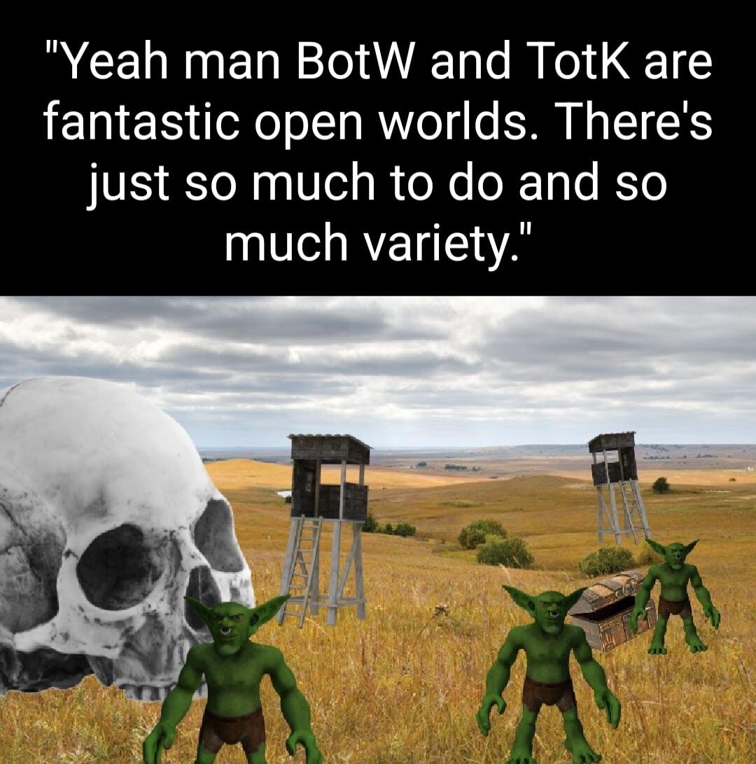 Yeah man BotW and TotK are fantastic open worlds Theres just so much to do and so IV RYET A