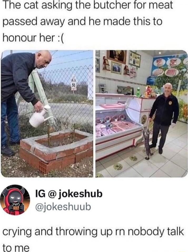 The cat asking the butcher for meat passed away and he made this to honour her IG jokeshub jokeshuub crying and throwing up rn nobody talk to me