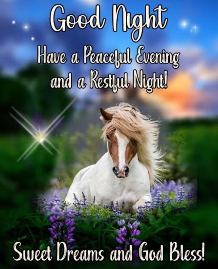 Good Night Have a Peaceful Evening and a Restful Night! Sweet Dreams and God Bless!