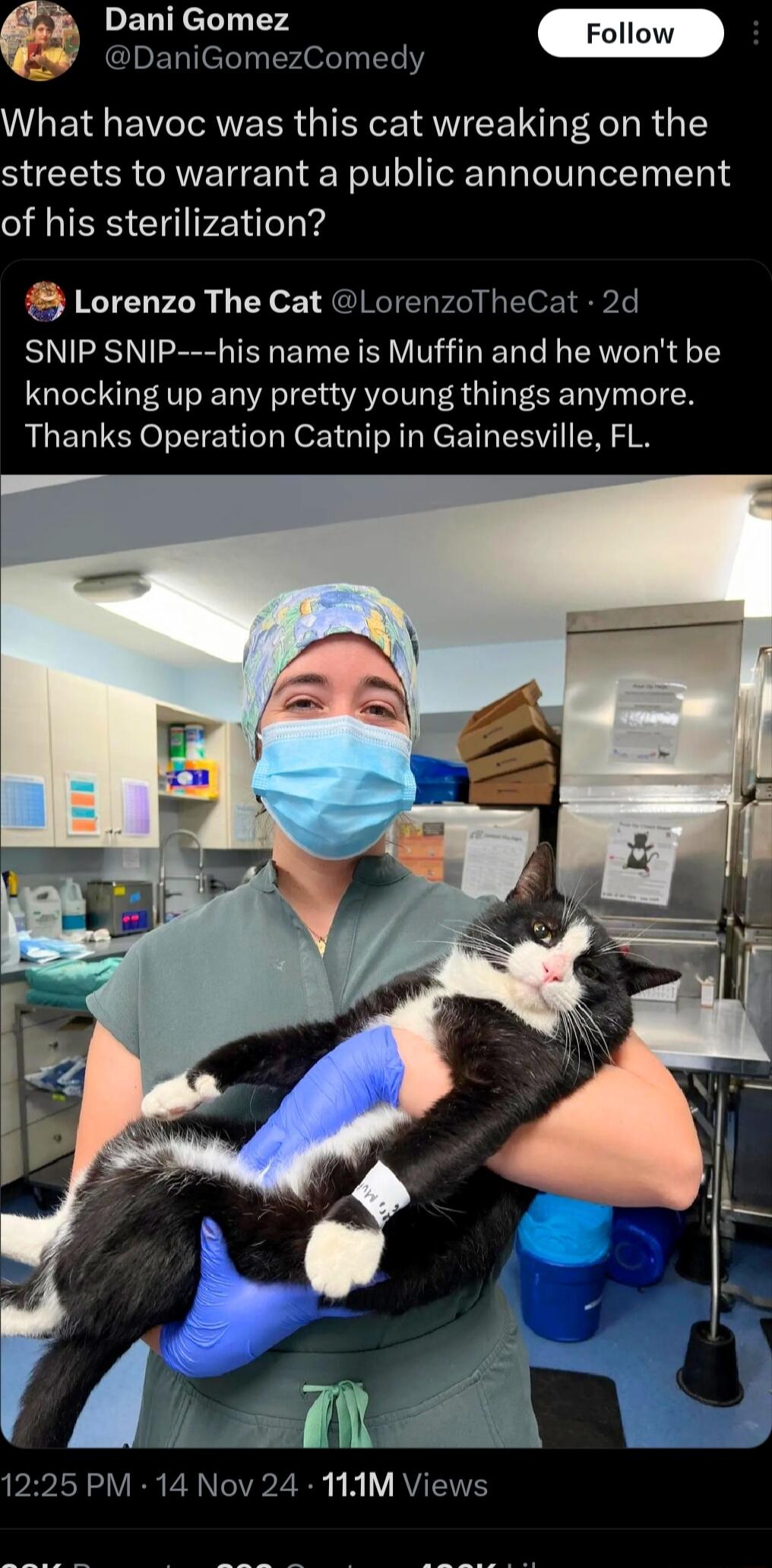 s DaniGomezComedy What havoc was this cat wreaking on the streets to warrant a public announcement of his sterilization Lorenzo The Cat LorenzoTheCat 2d SNIP SNIP his name is Muffin and he wont be knocking up any pretty young things anymore Thanks Operation Catnip in Gainesville FL y b 1225 PM 14 Nov 24 111M Views