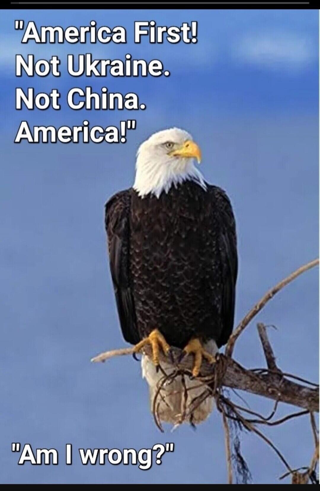 America First! Not Ukraine. Not China. America! Am I wrong?