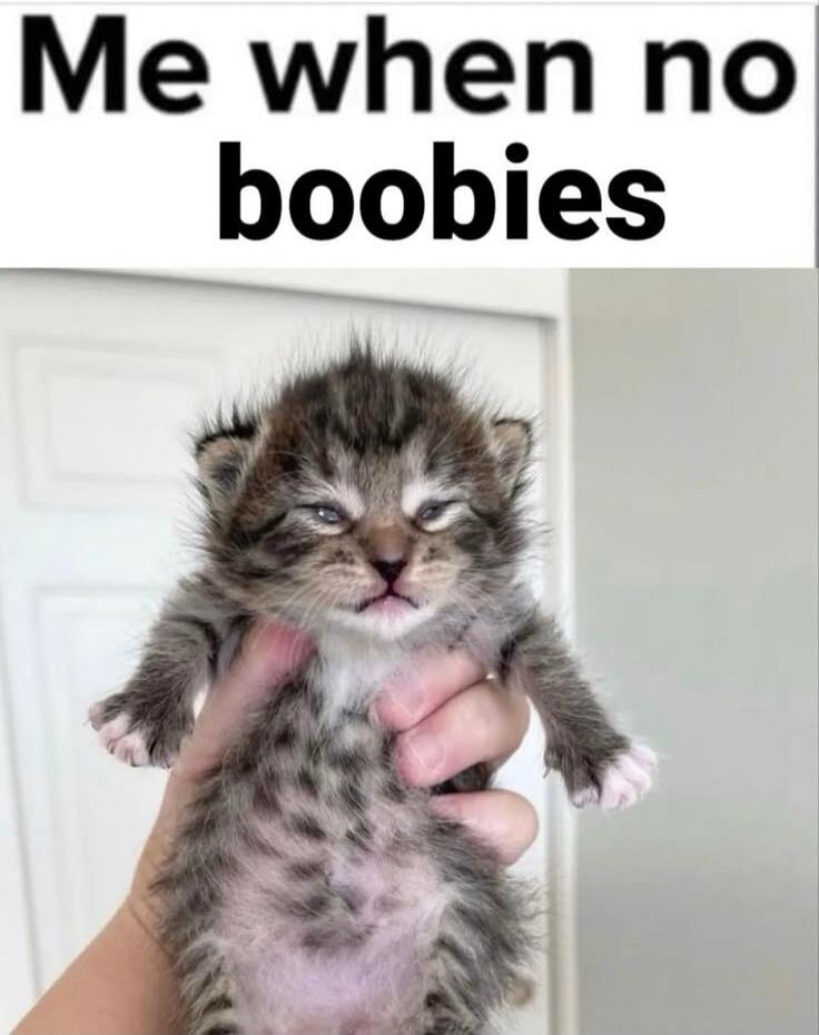 Me when no boobies