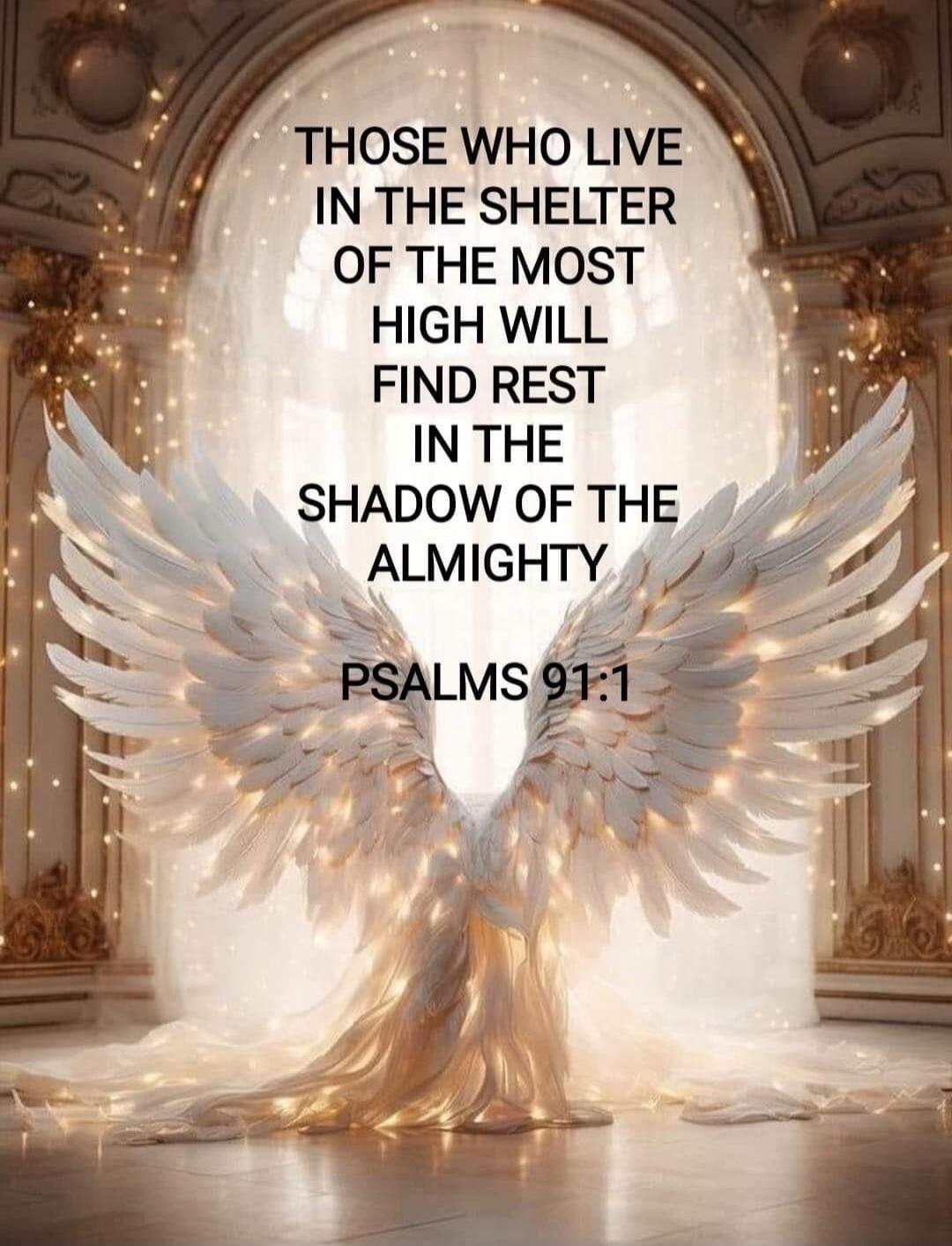 THOSE WHO LIVE IN THE SHELTER OF THE MOST HIGH WILL FIND REST IN THE SHADOW OF THE ALMIGHTY PSALMS 91:1