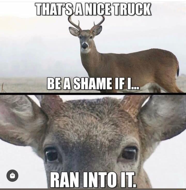 BERISHAME IE A h RANINTOIT