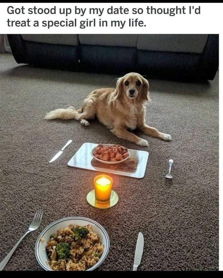 Got stood up by my date so thought Id treat a special girl in my life