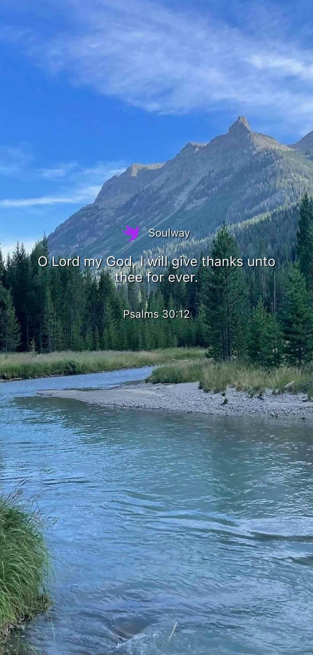 Soulway O Lord my God, I will give thanks unto thee for ever. PSALMS 30:12